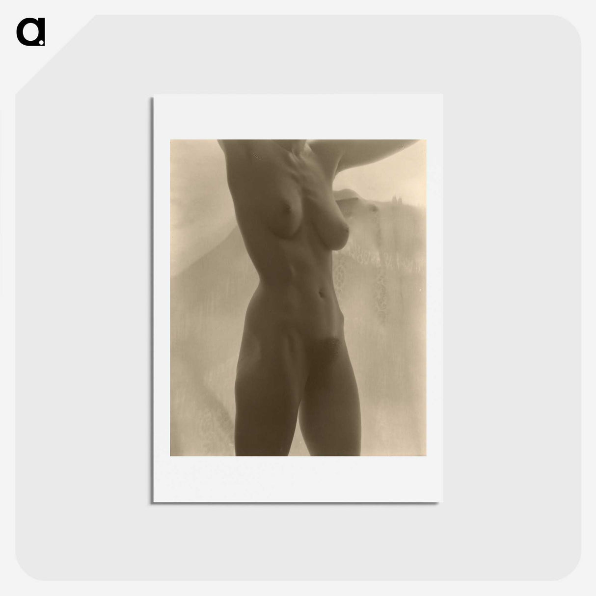 1-17_Alfred-Stieglitz_hagaki