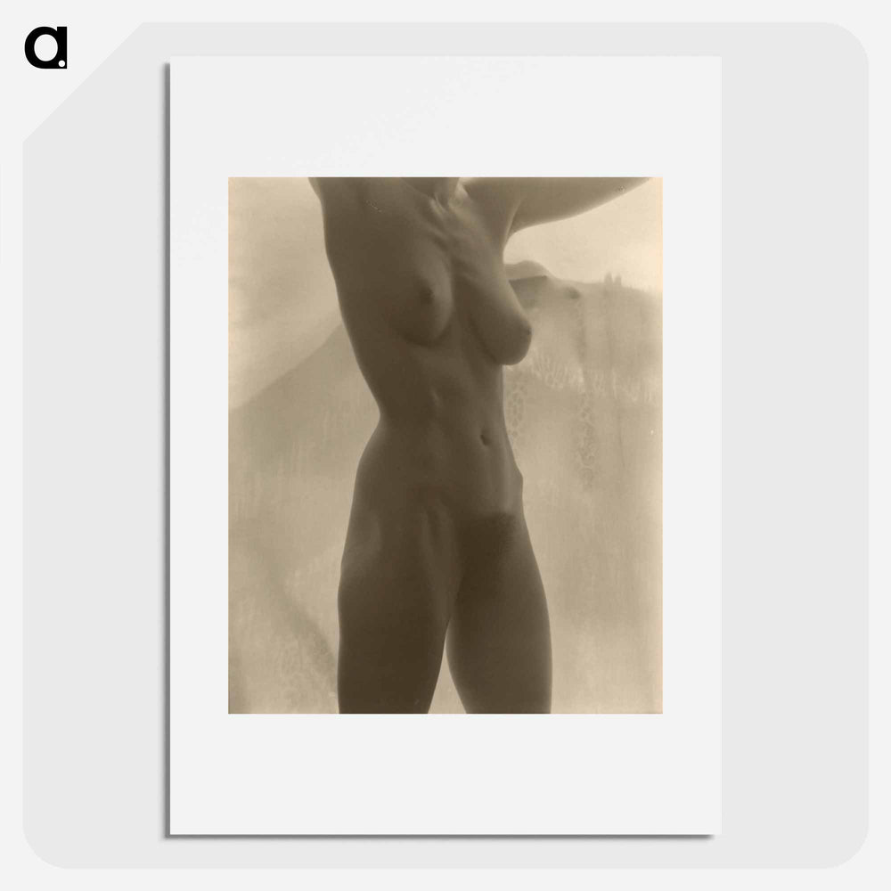 Georgia O'Keeffe—Torso - アルフレッド スティーグリッツ Poster.