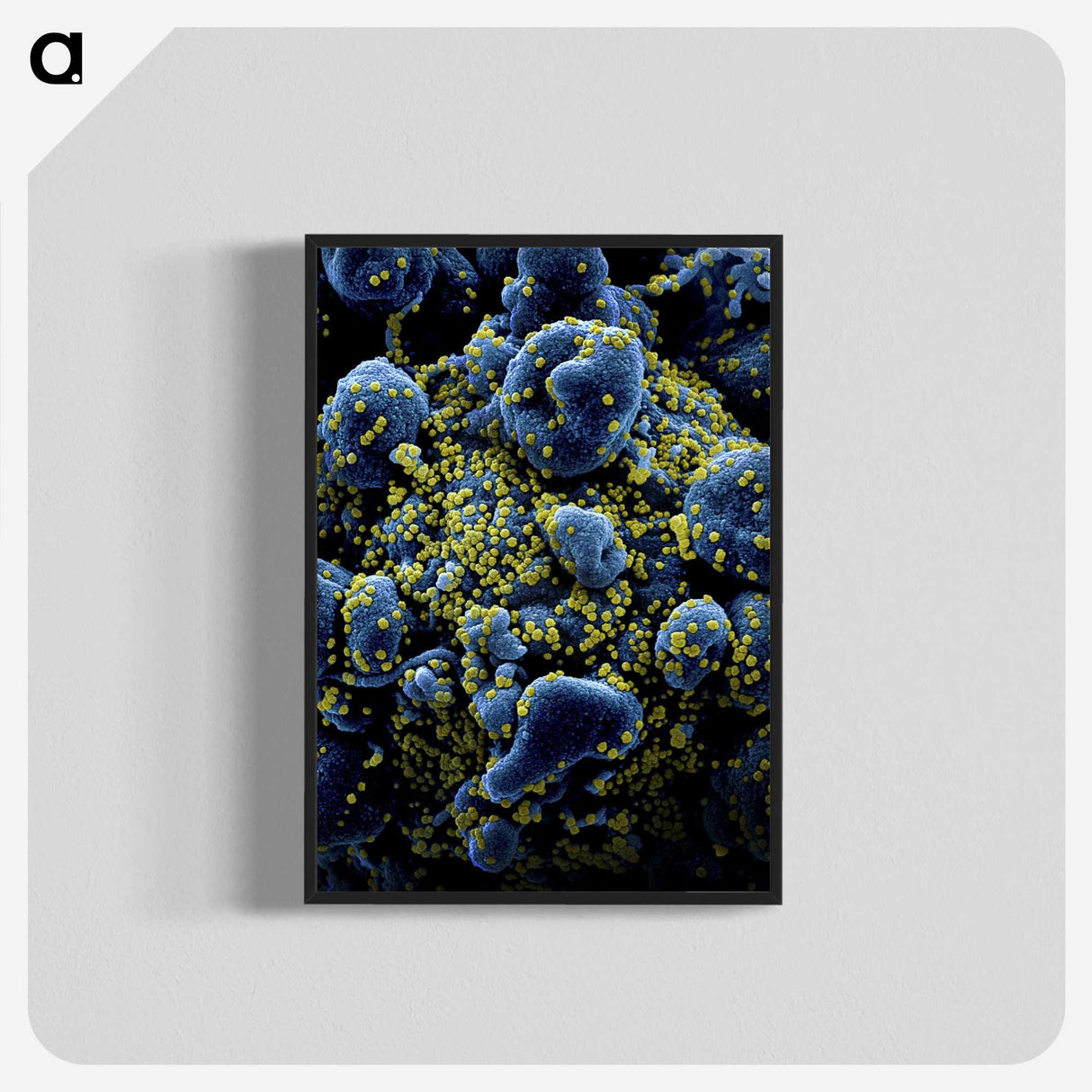 1-17_COVID-19_blk-crop