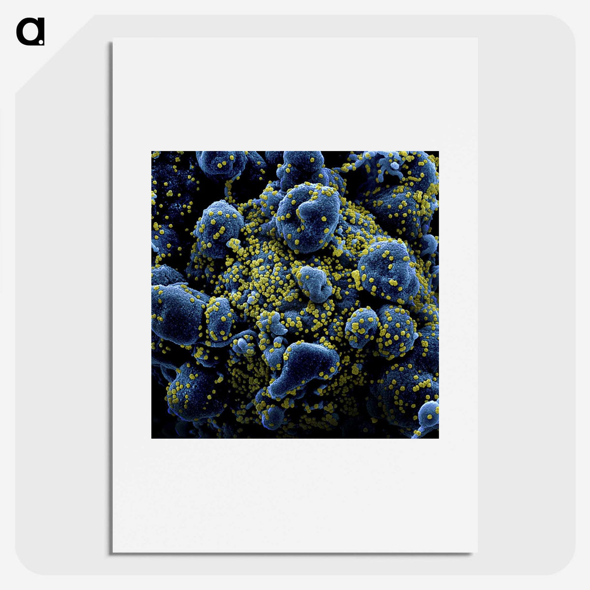 1-17_COVID-19_picture