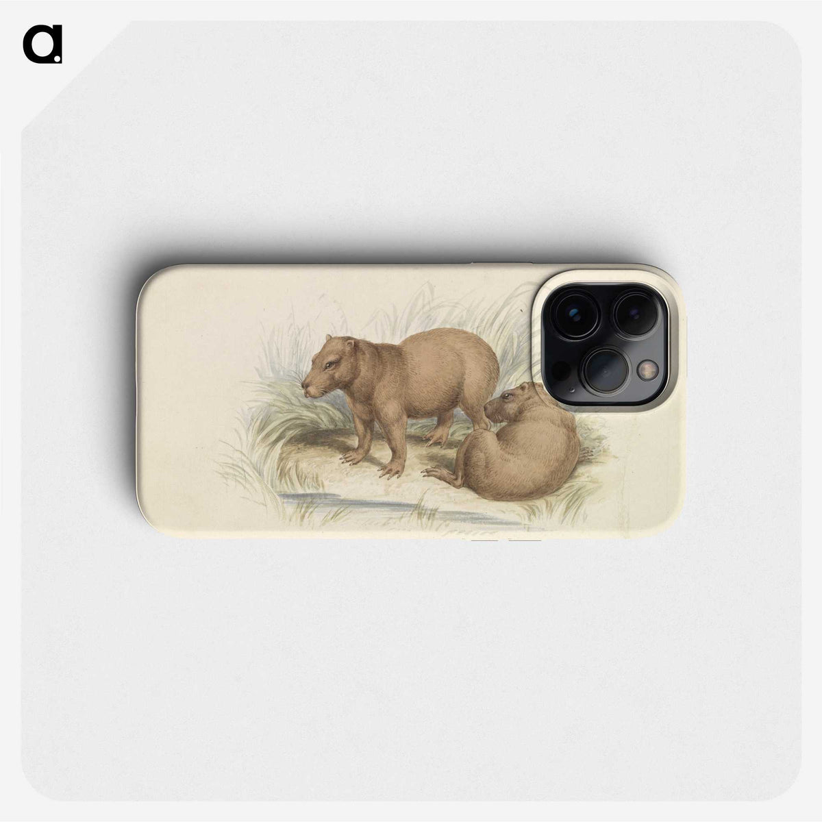 1-17_Charles-Hamilton-Smith_phone