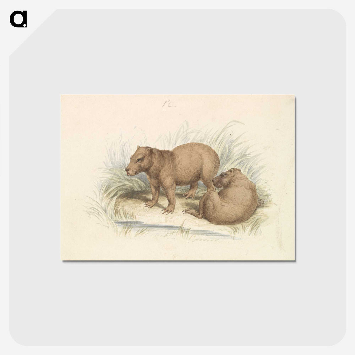 1-17_Charles-Hamilton-Smith_postcard
