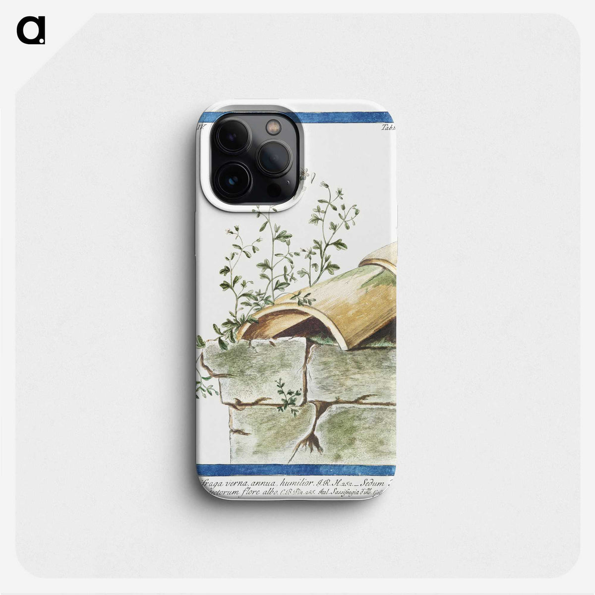 1-17_Hortus-Romanus-Botanical-Plates_phone