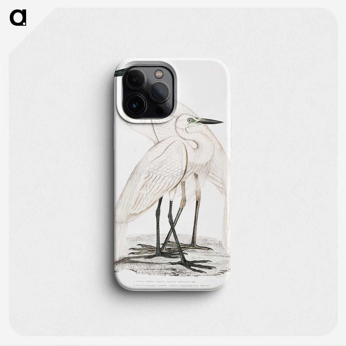 1-17_Indian-Zoology_phone