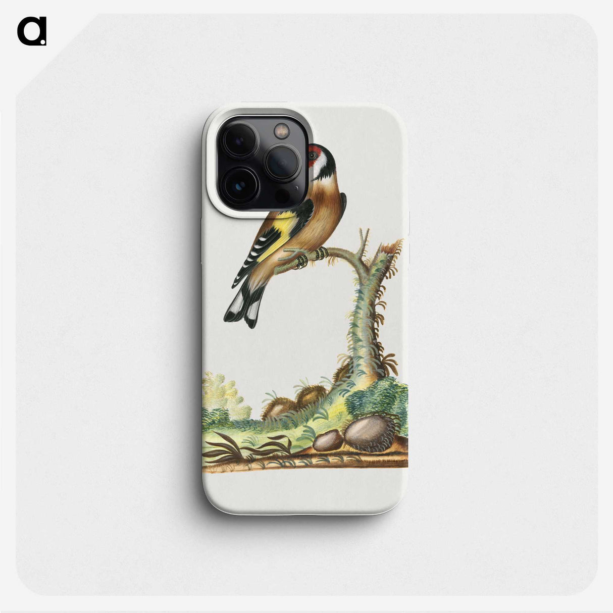 1-17_James-Bolton_phone