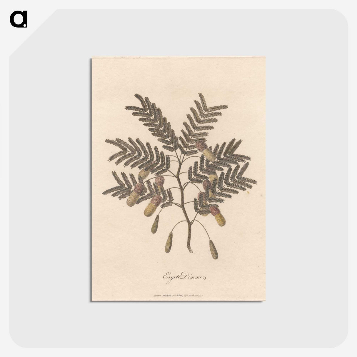 1-17_James-Heath_postcard