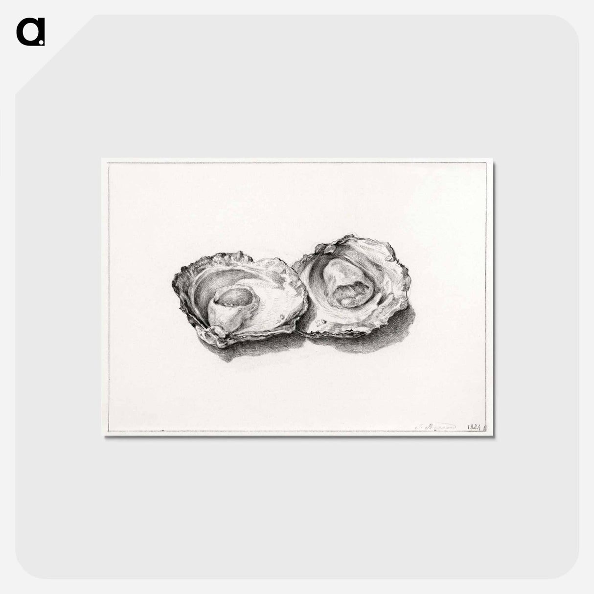 アートポストカード-Two opened oysters - ジャン ベルナール Postcard.