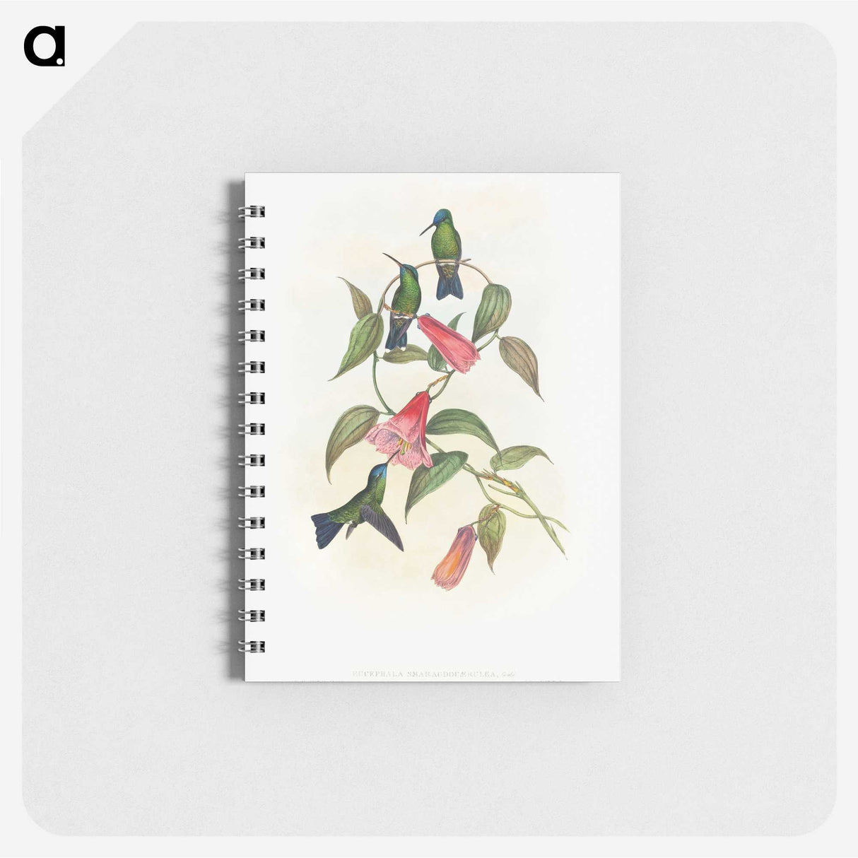 1-17_John-Gould_memo