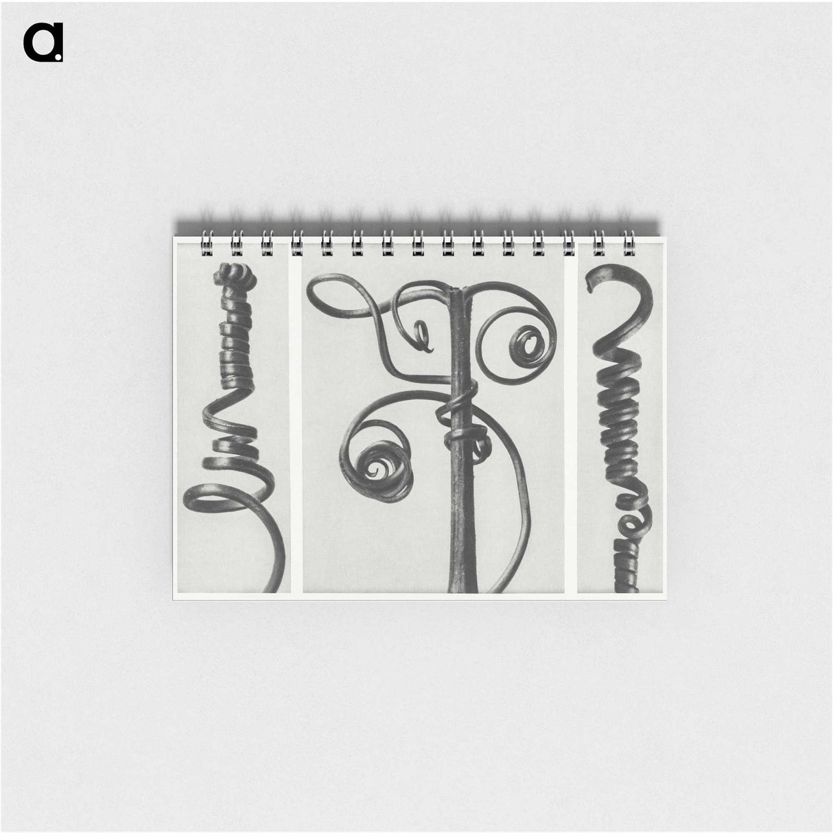1-17_Karl-Blossfeldt_memo