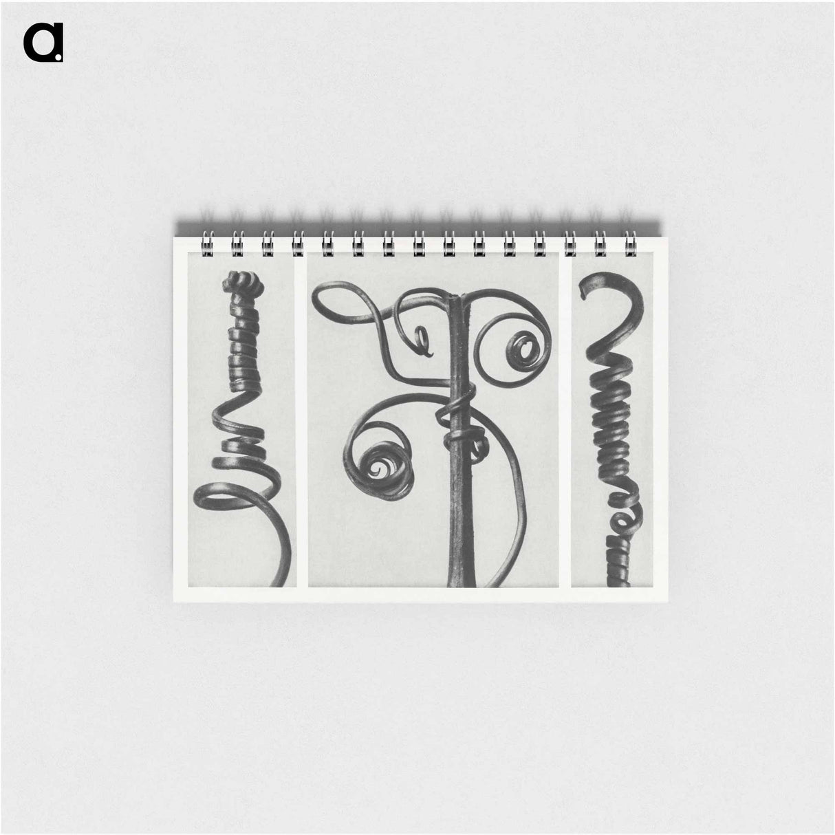 Cucurbita (Pumpkin) - カール ブロスフェルト Memo.