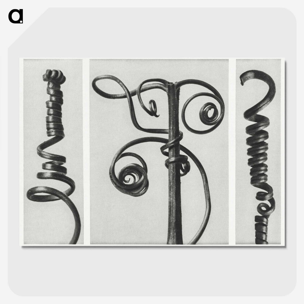 1-17_Karl-Blossfeldt_picture-crop