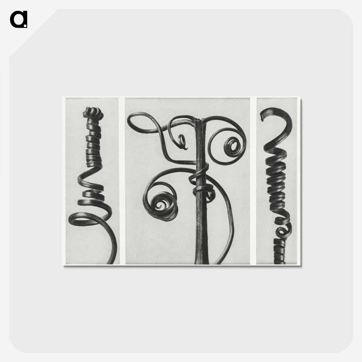 1-17_Karl-Blossfeldt_postcard