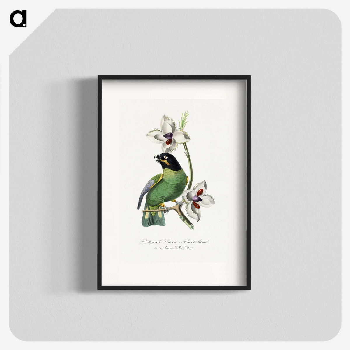 1-17_Le-Jardin-des-Plantes_blk