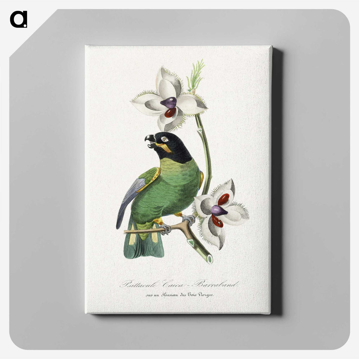 1-17_Le-Jardin-des-Plantes_canvas