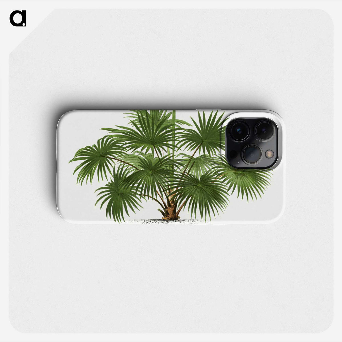 1-17_Les-Palmiers-Histoire-Iconographique_phone