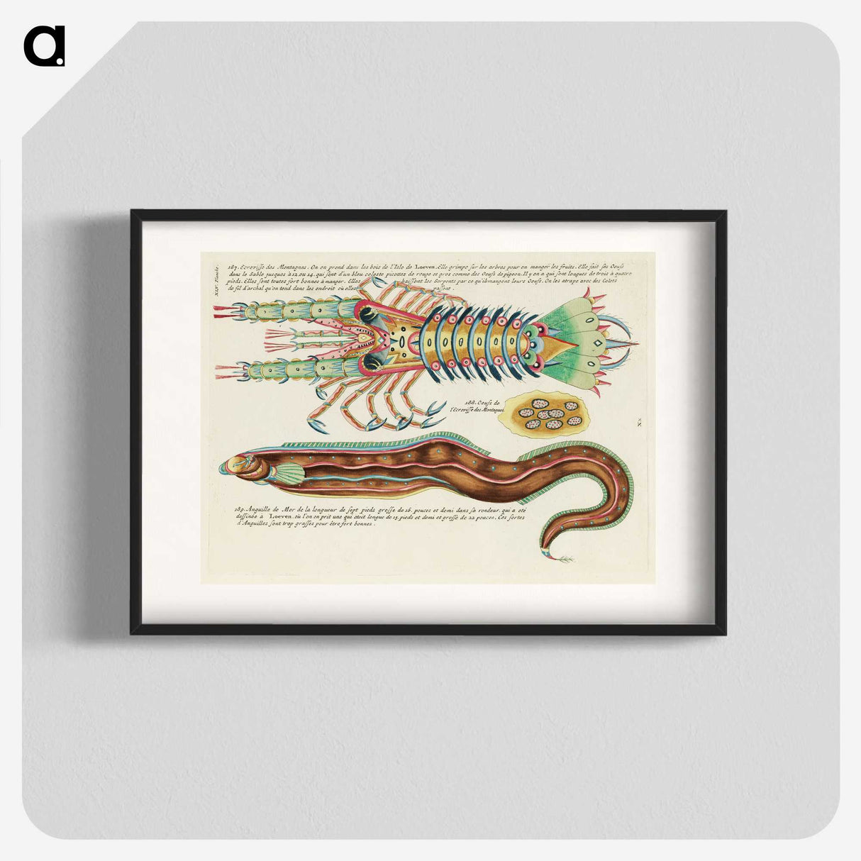 1-17_Louis-Renard_blk