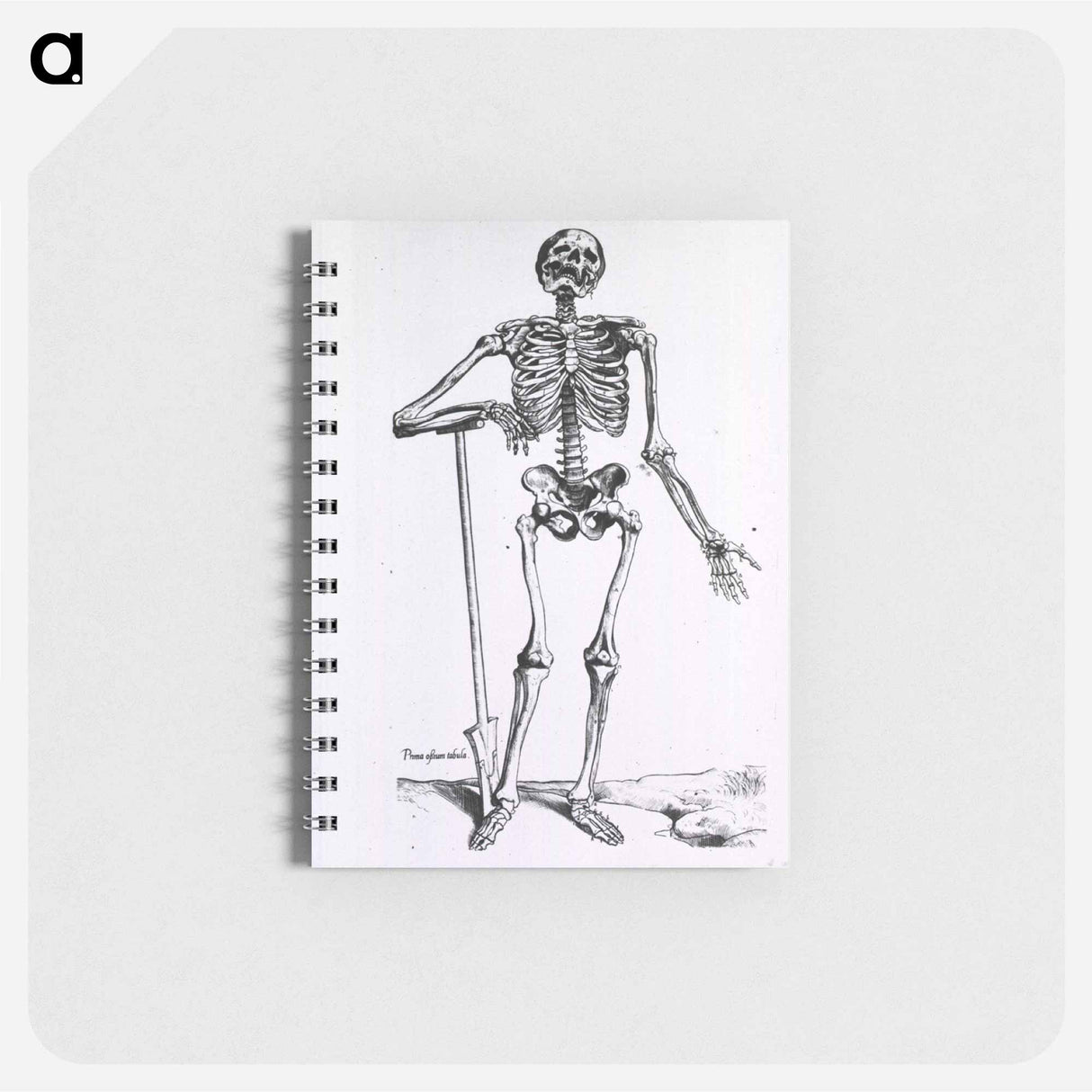 アートメモ帳-Anatomical Skeleton
- 国立医学図書館 Memo.