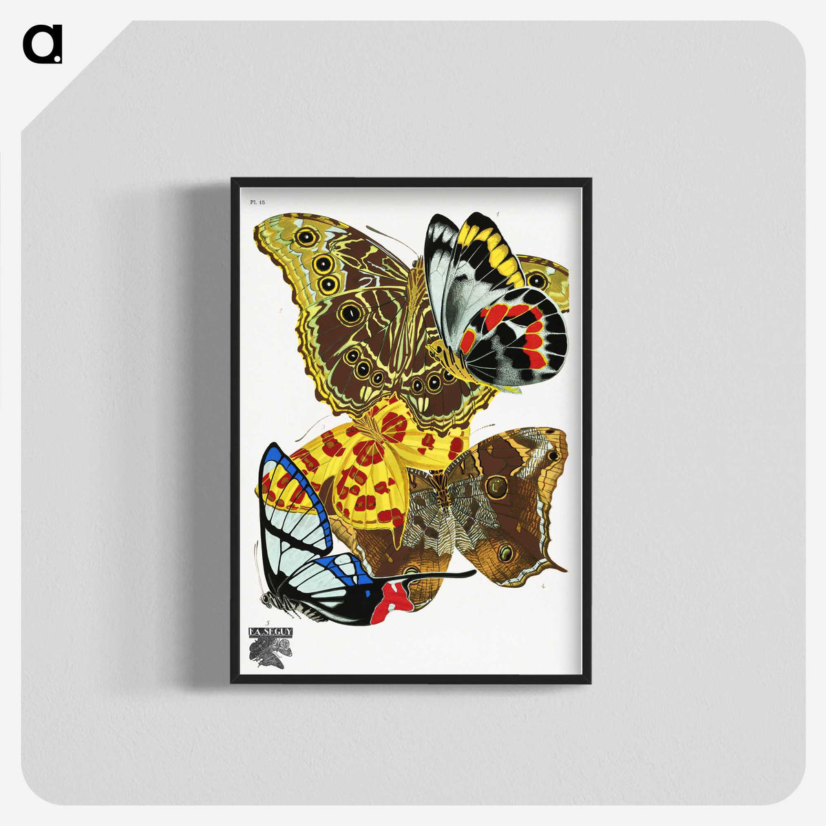1-17_Papillons_blk-crop