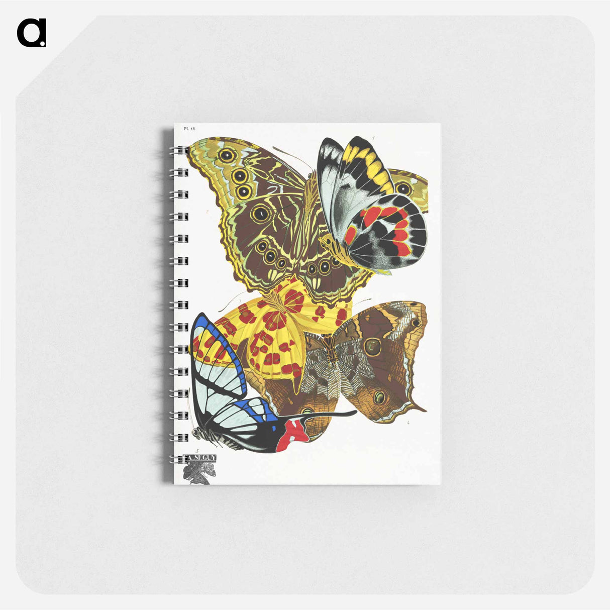 アートメモ帳-Vintage Butterflies
- パピヨン Memo.