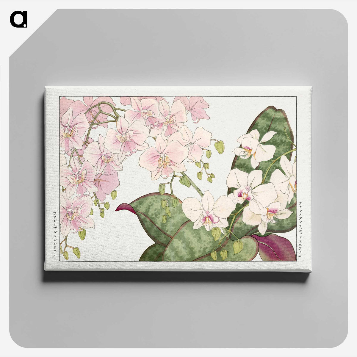 1-17_Seiyo-Soka-Zufu_canvas