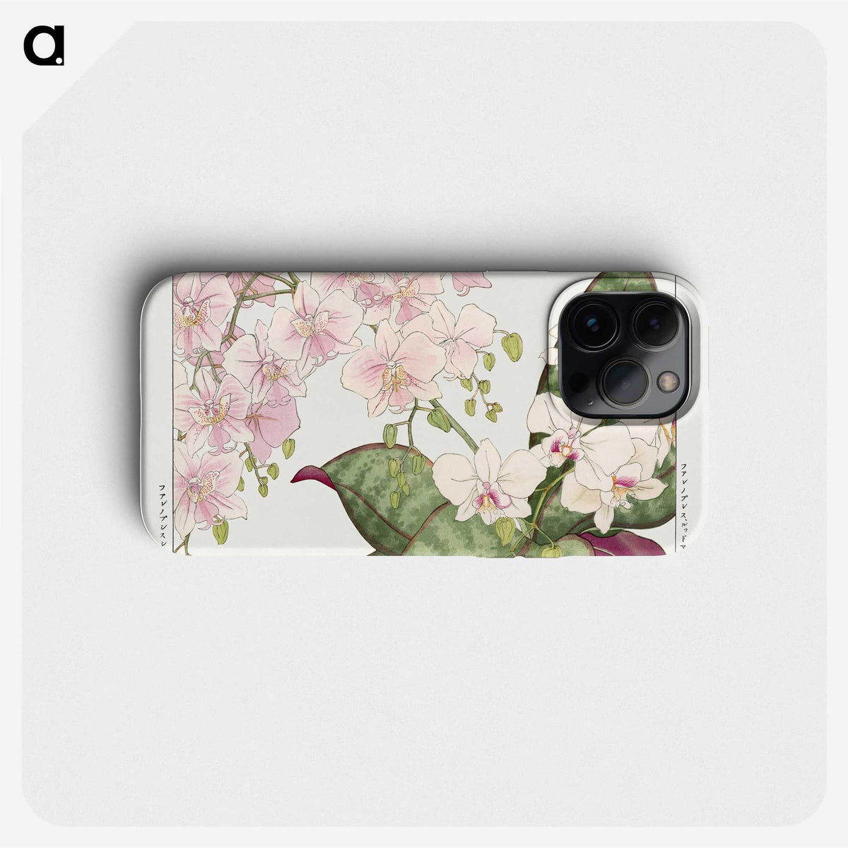 1-17_Seiyo-Soka-Zufu_phone