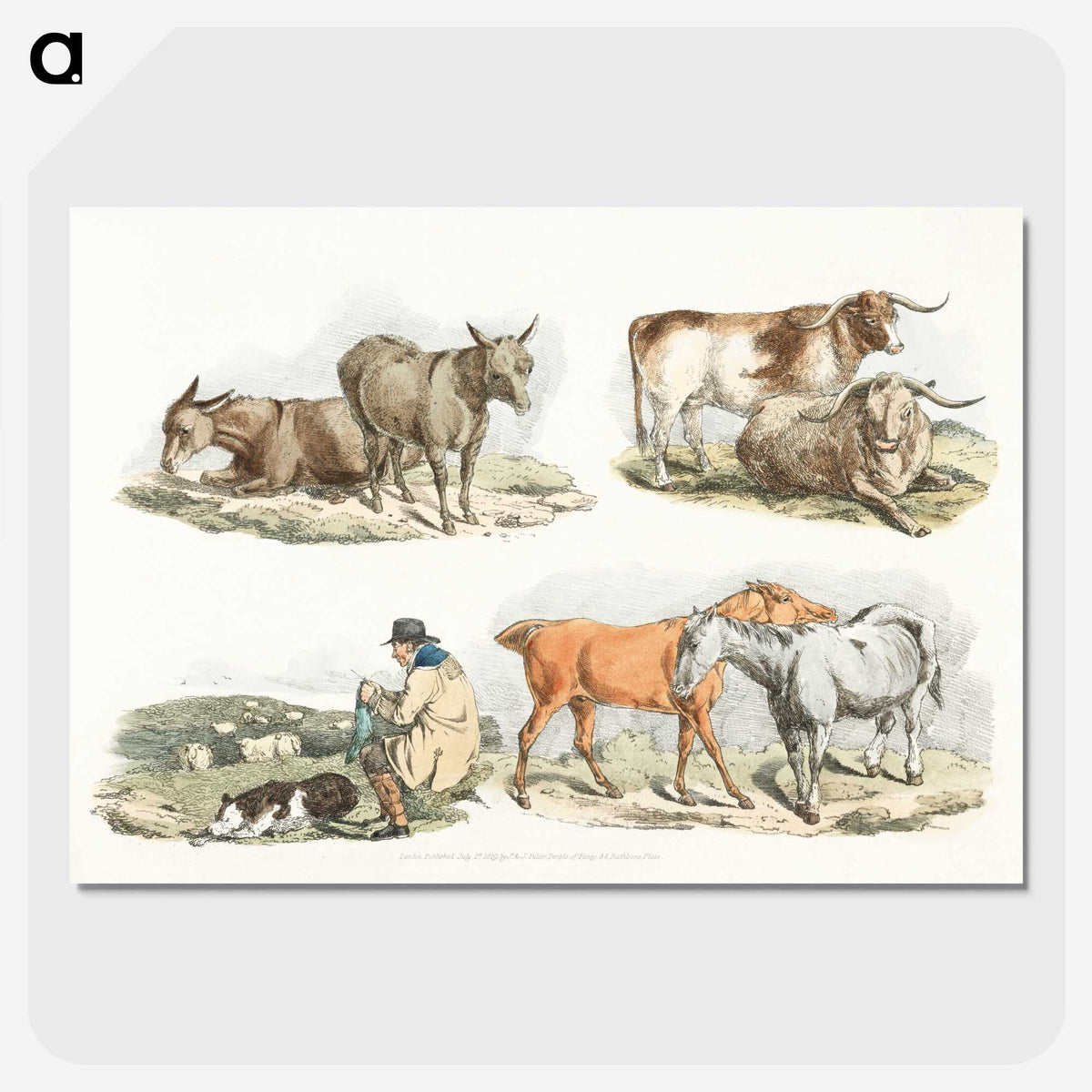 1-17_Sporting-Sketches_picture-crop