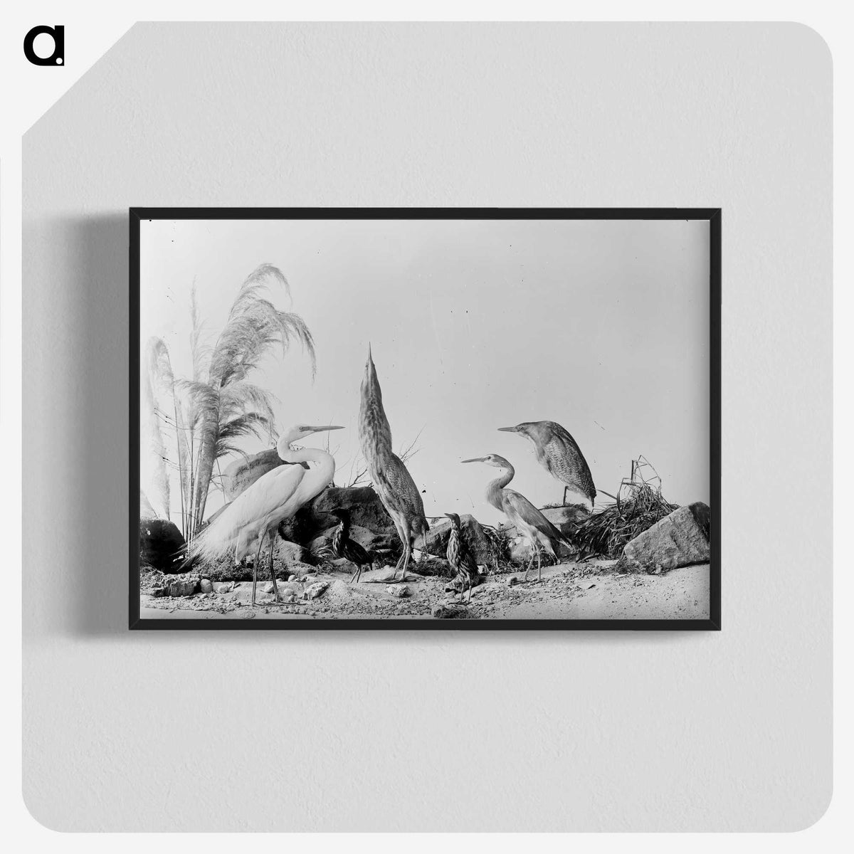 1-17_The-Burton-Brothers_blk-crop
