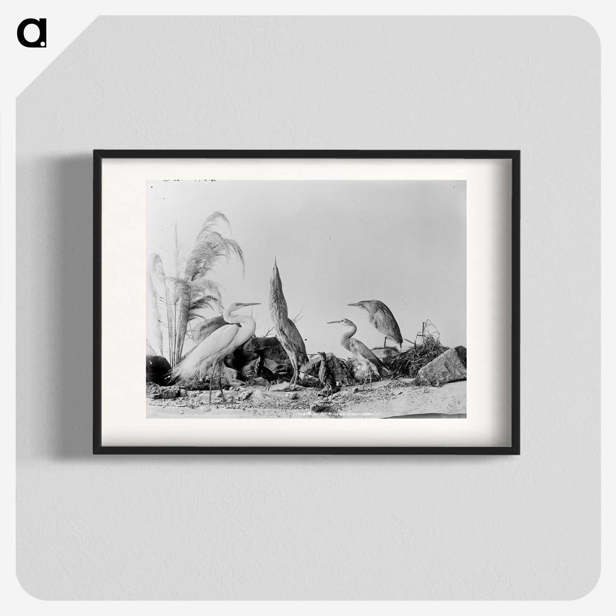 1-17_The-Burton-Brothers_blk