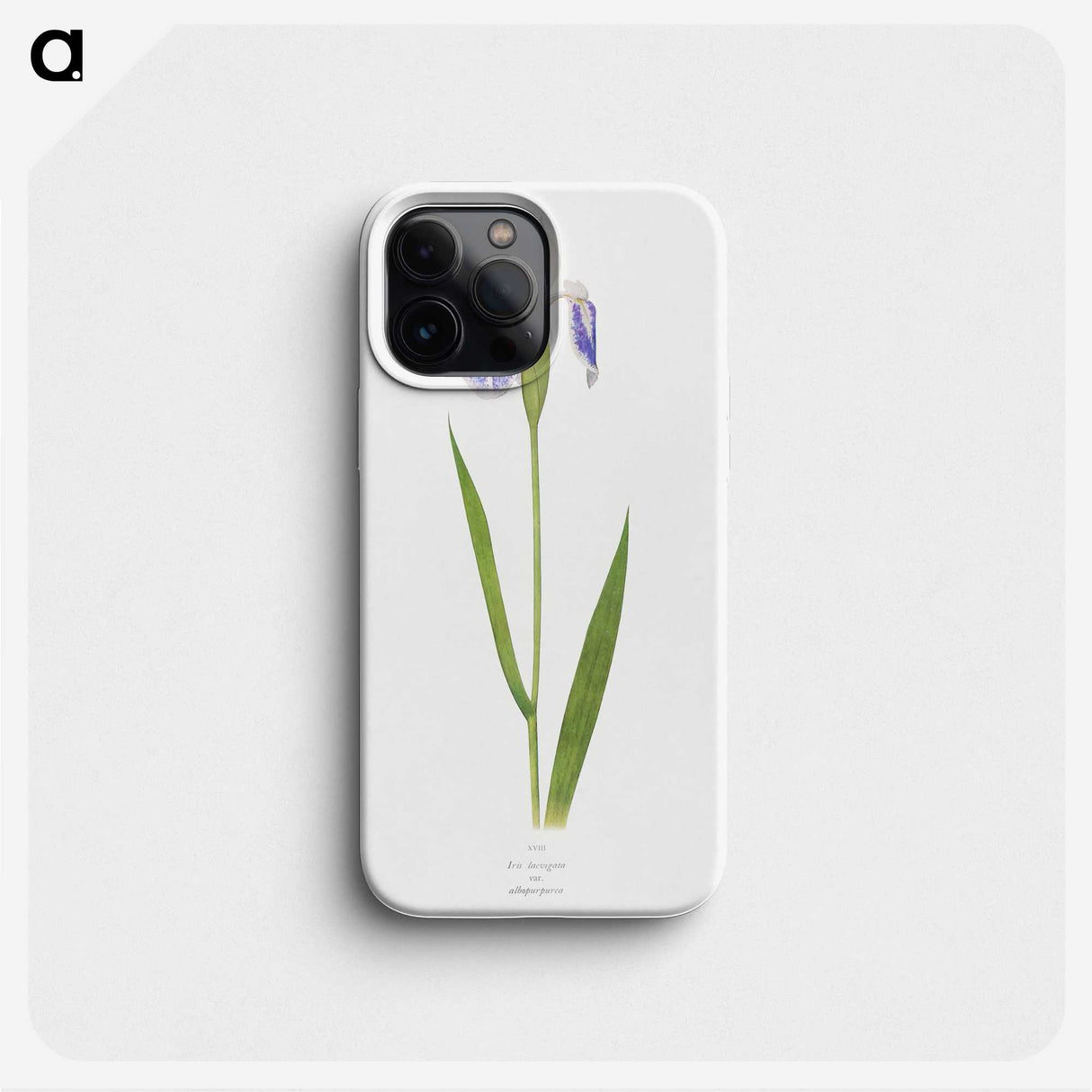 1-17_The-Genus-Iris_phone