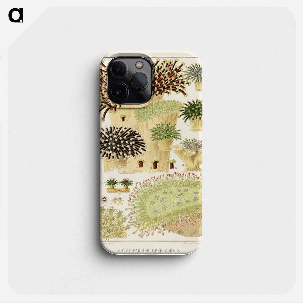 Great Barrier Reef Corals - オーストラリアのグレートバリアリーフ Phone Case.