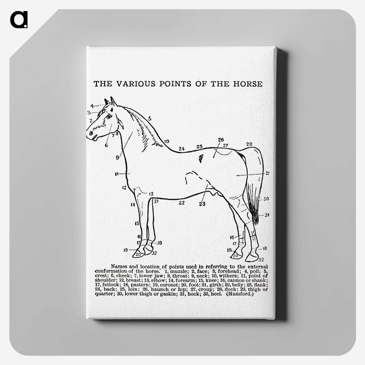 1-17_The-Open-Door-to-Independence_canvas