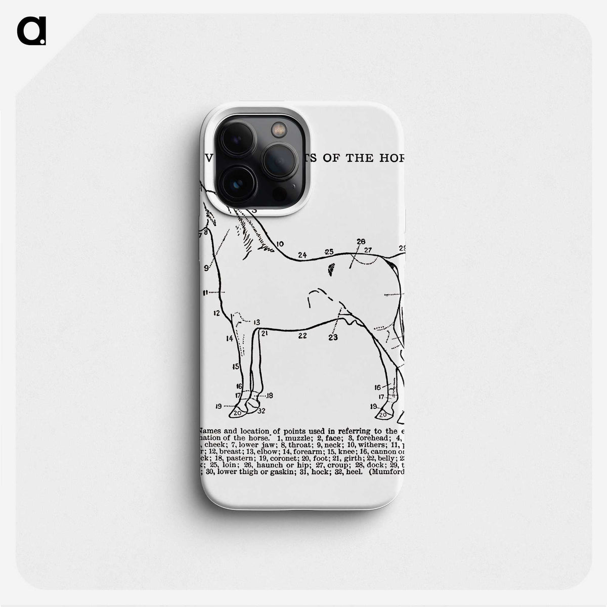 1-17_The-Open-Door-to-Independence_phone