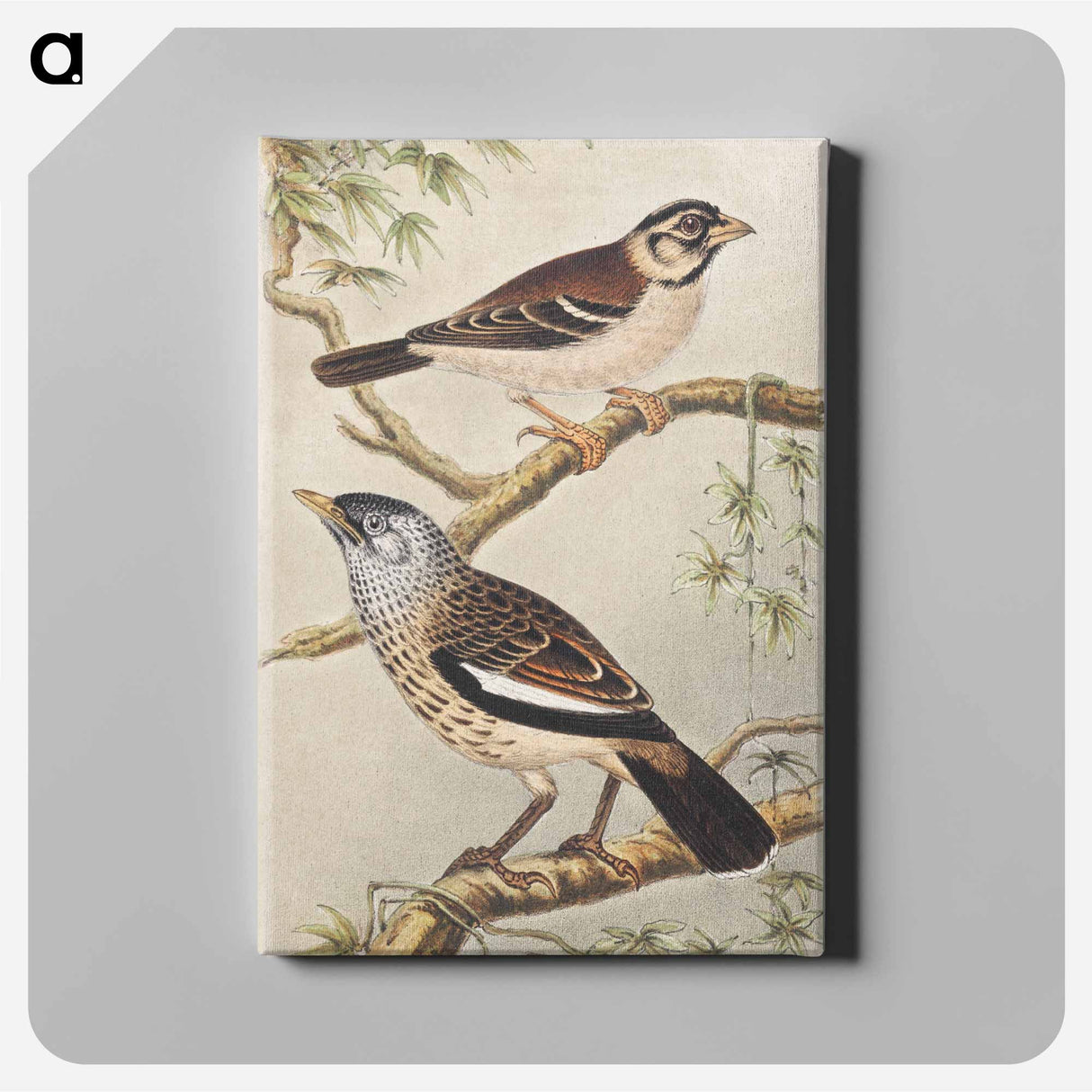 Twee vogels op takken - Theo van Hoytema Canvas.