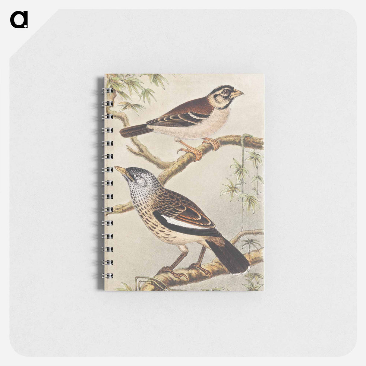 Twee vogels op takken - テオ ヴァン ホイテマ Memo.