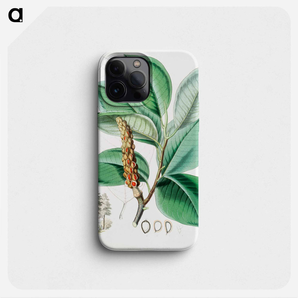 Campbell's magnolia - Walter Hood Fitch Phone Case.