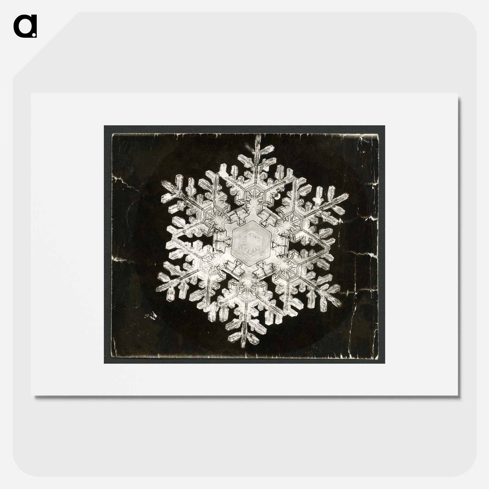 Wilson Bentley Photomicrograph of Stellar Snowflake No. 586 - ウィルソン ベントレー Poster.