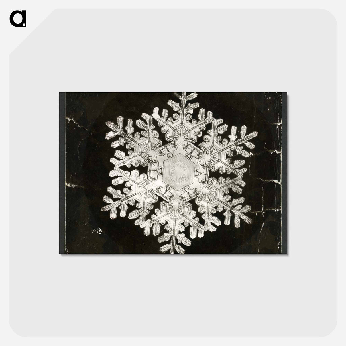 アートポストカード-Wilson Bentley Photomicrograph of Stellar Snowflake No. 586 - ウィルソン ベントレー Postcard.