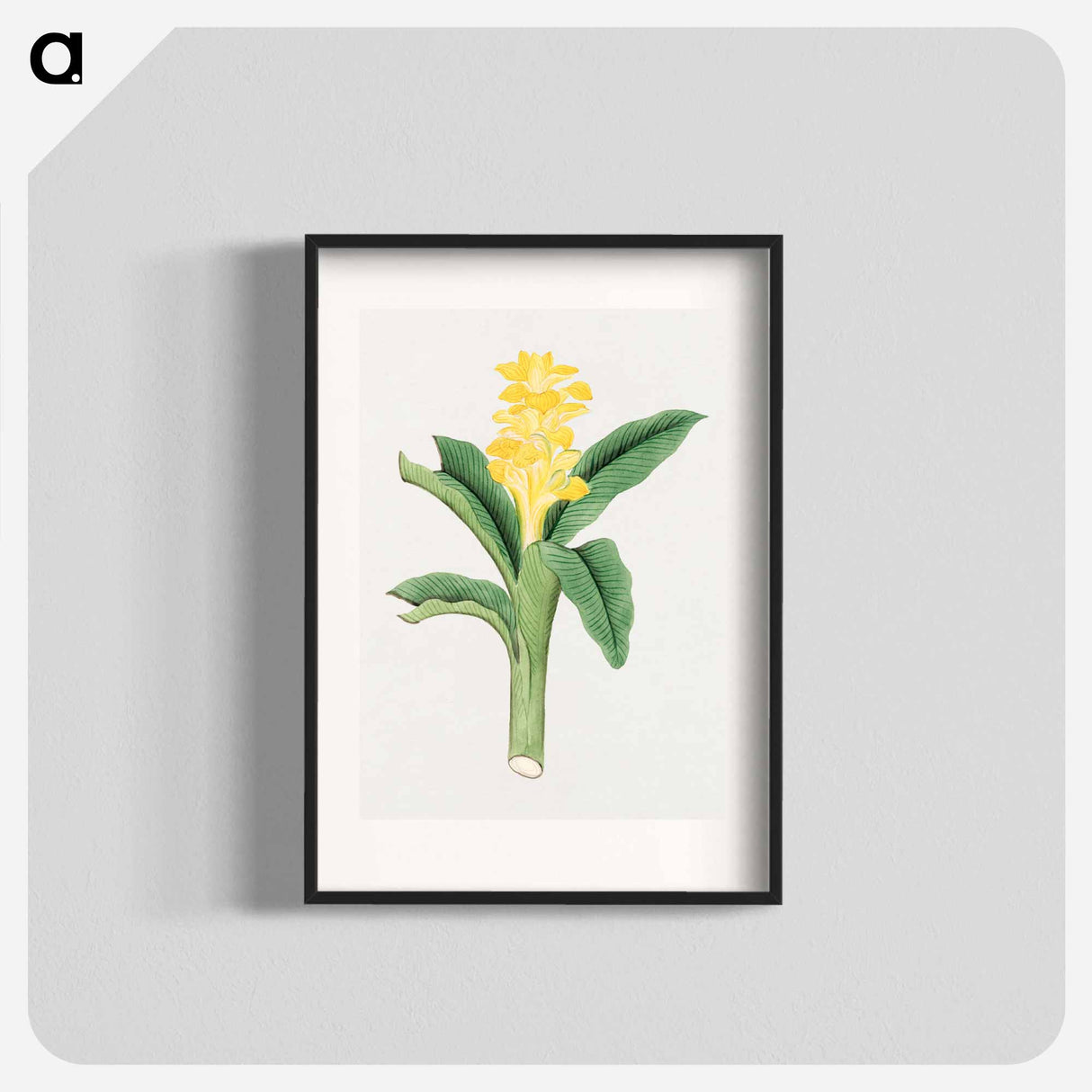 Ukon so - 19世紀の日本の花 Poster.