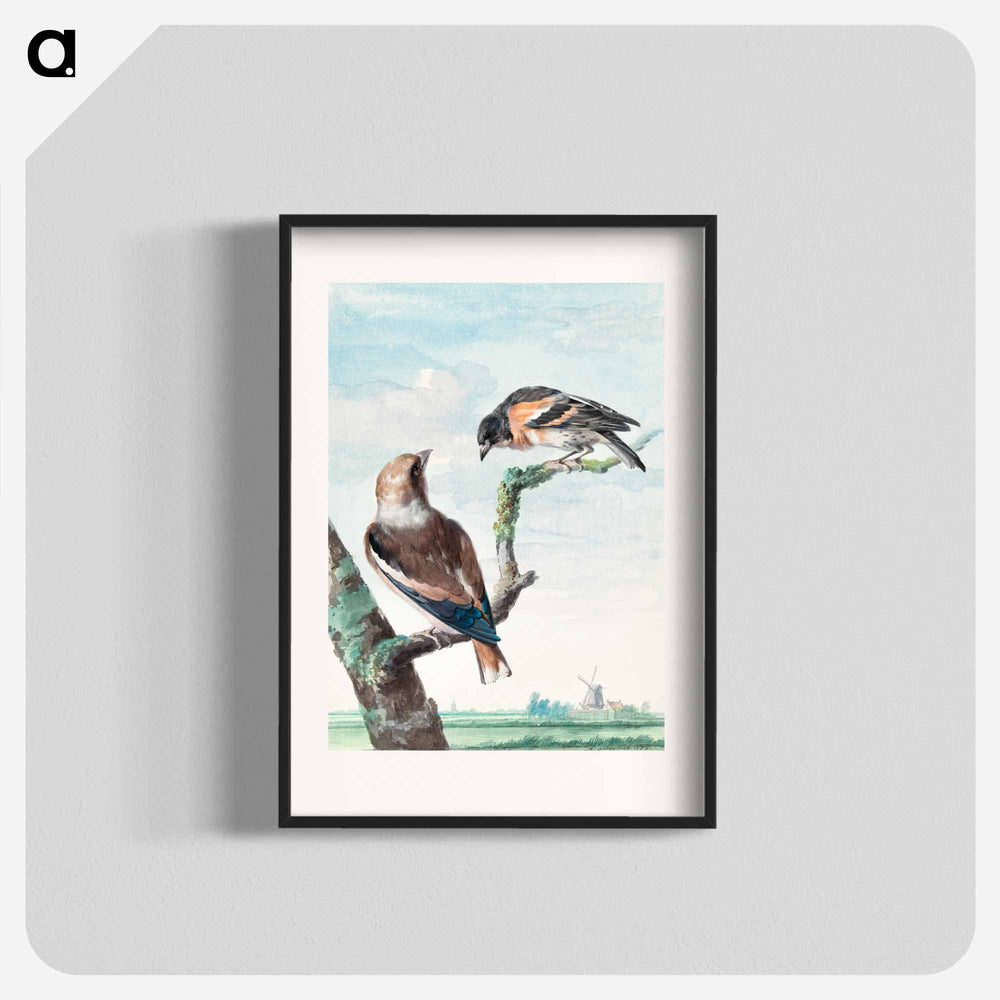 Two birds: hawfinch - アールト シューマン Poster.