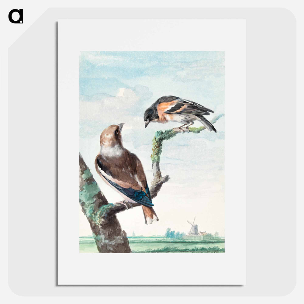 Two birds: hawfinch - アールト シューマン Poster.