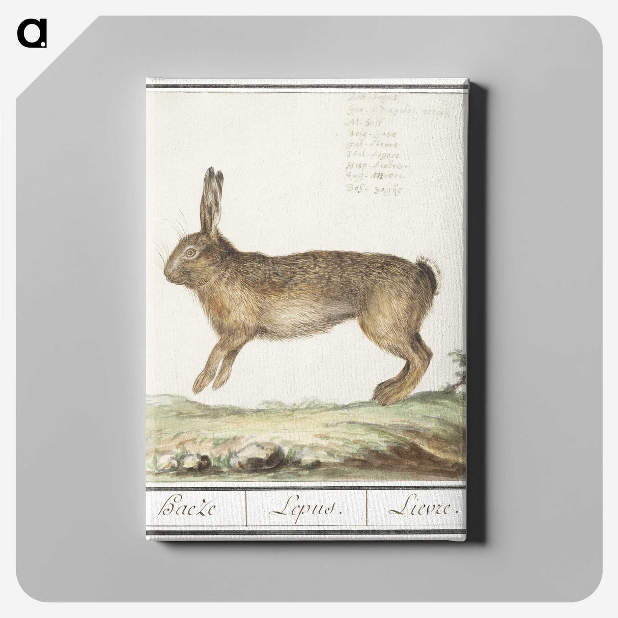 1-18_Anselmus-Boetius-de-Boodt_canvas