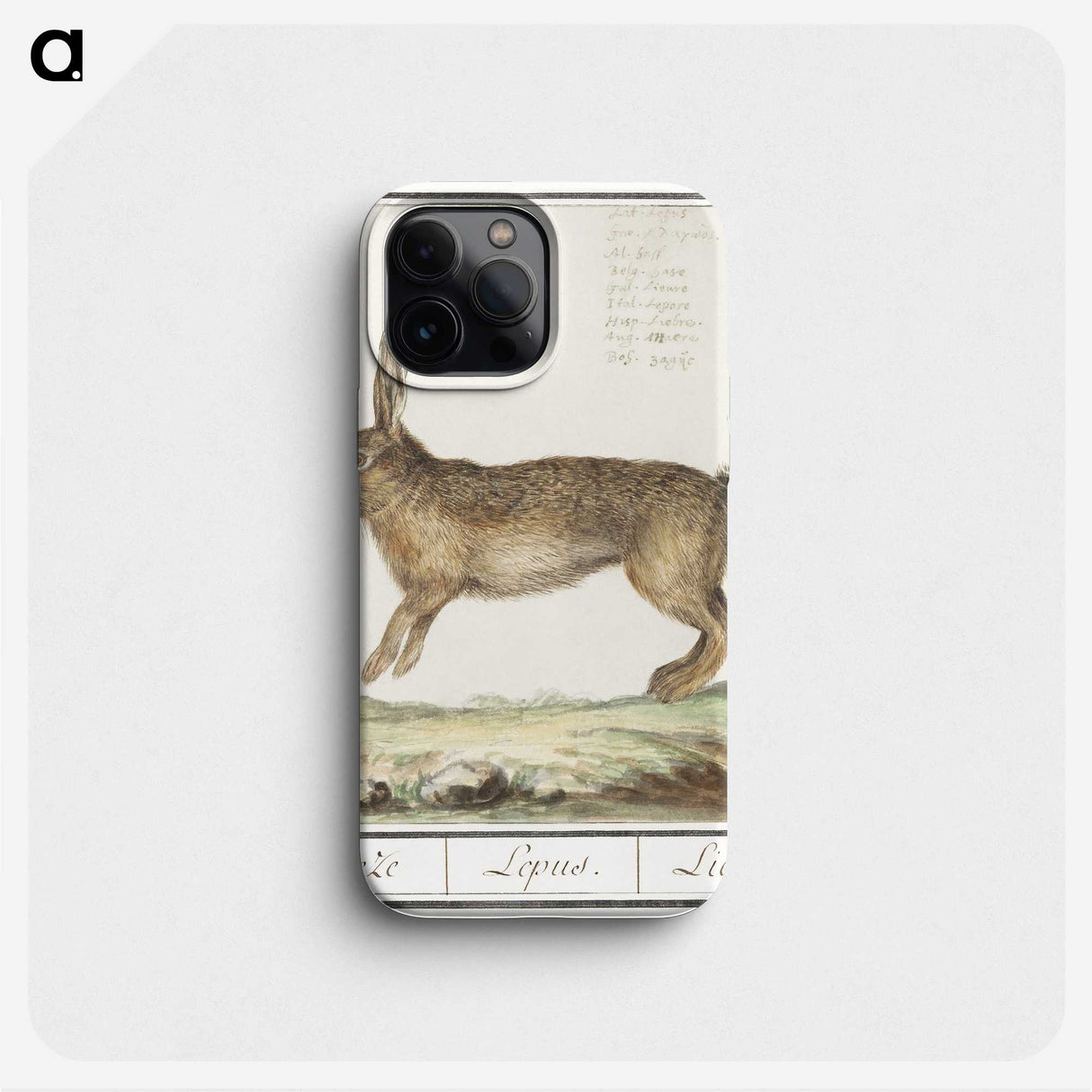 1-18_Anselmus-Boetius-de-Boodt_phone