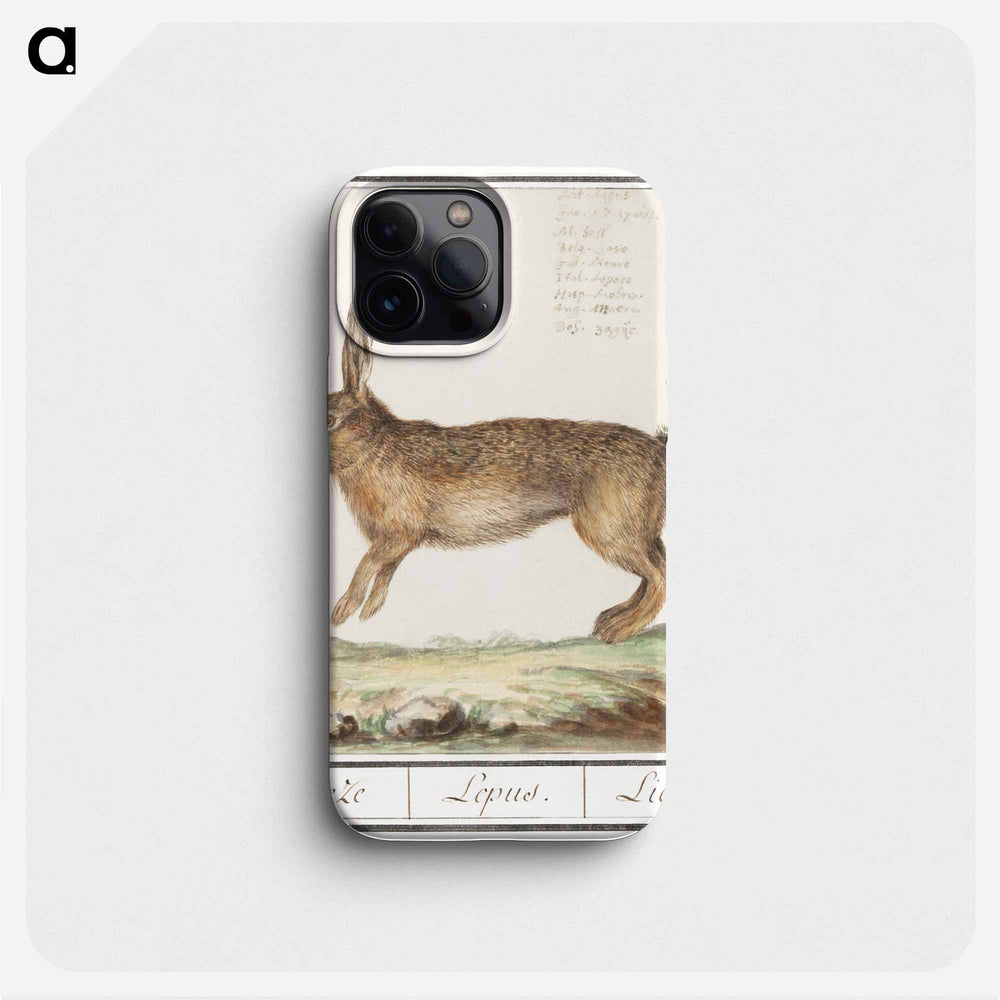 Hare, Lepus europaeus - アンセルムス ボエティウス デ ブート Phone Case.