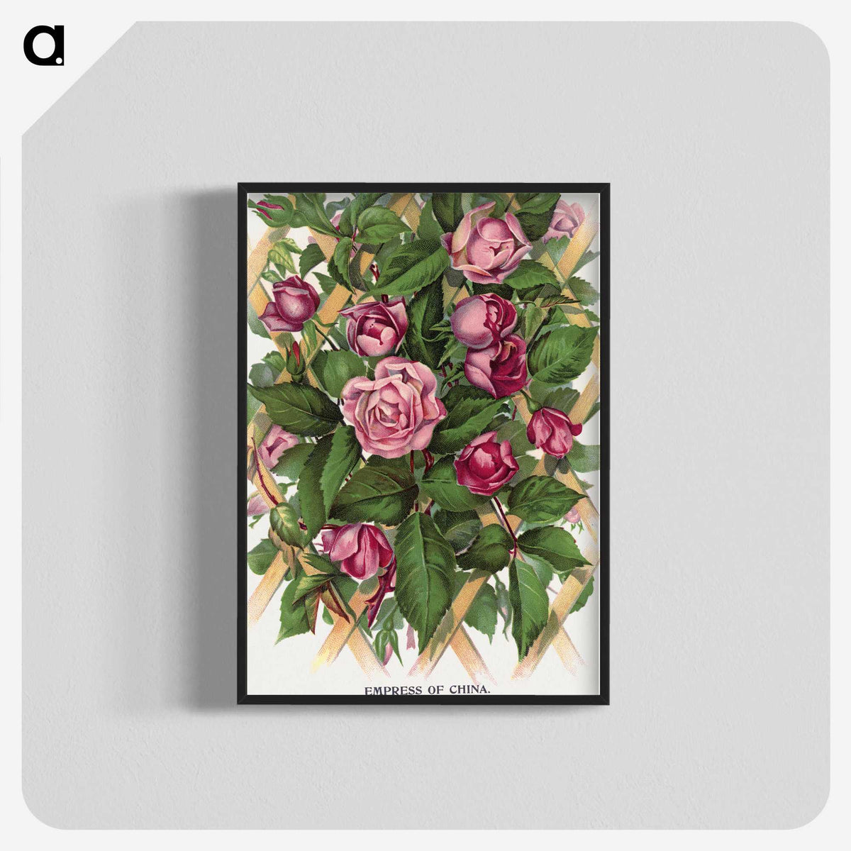 1-18_Botanical-Specimen-Plates_blk-crop