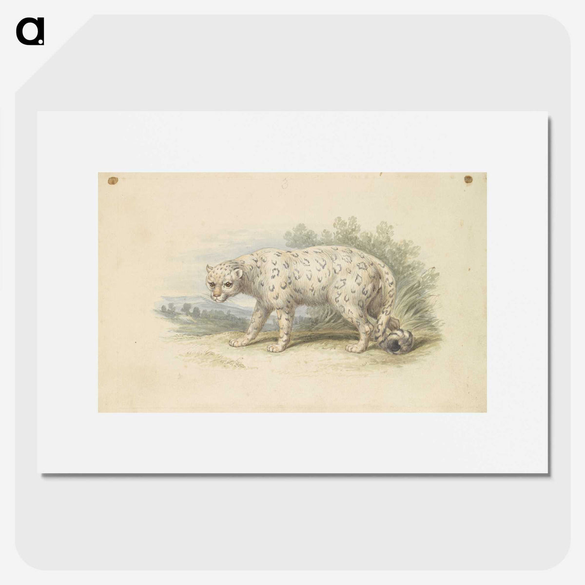 1-18_Charles-Hamilton-Smith_picture