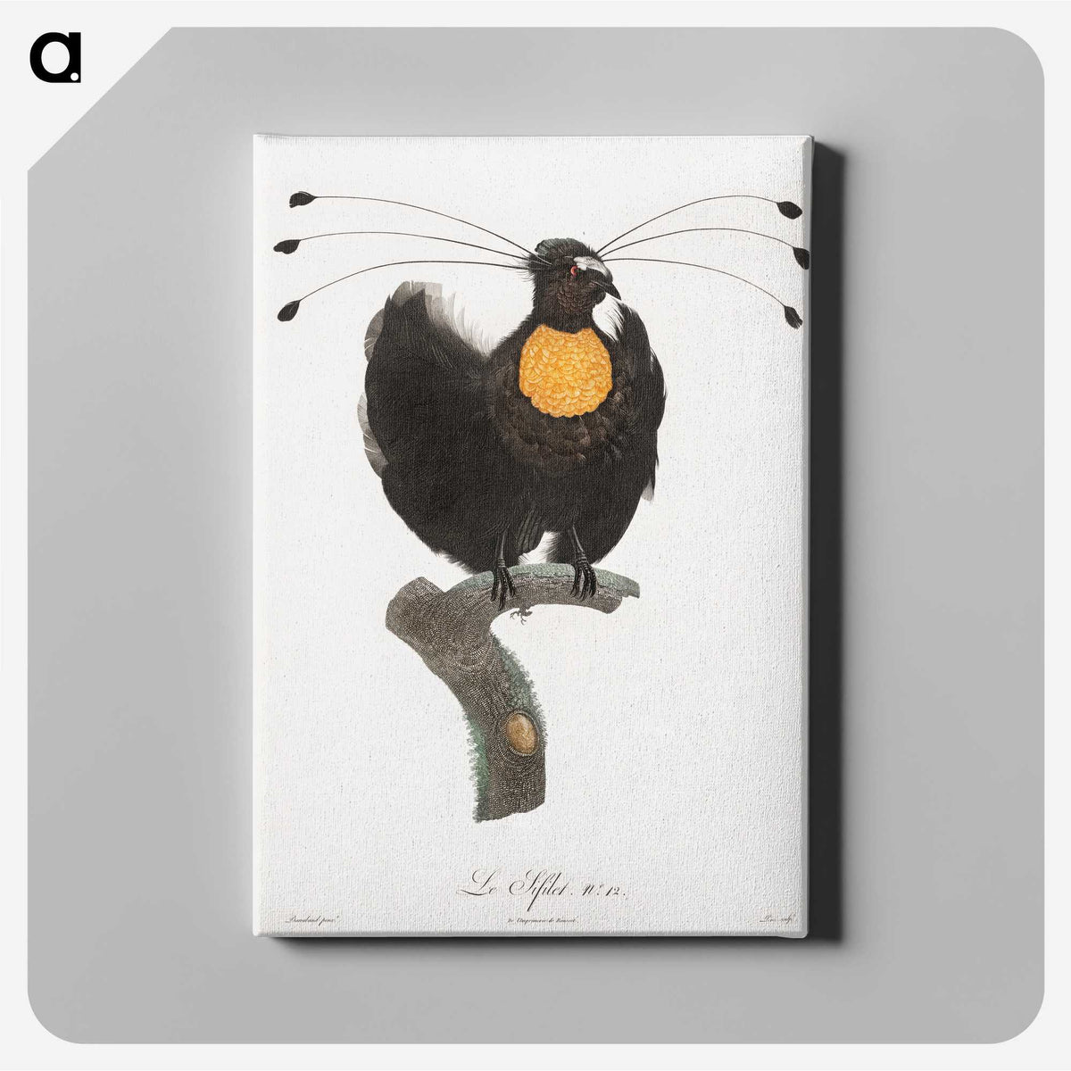 1-18_Des-Oiseaux-de-Paradis_canvas