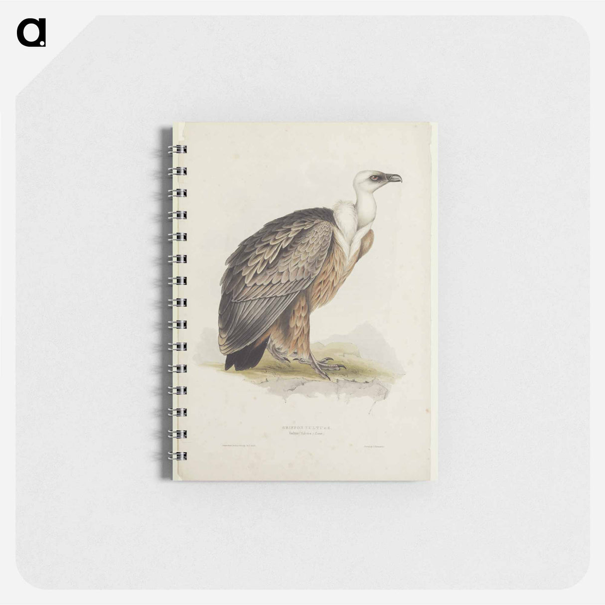 アートメモ帳-Griffon Vulture
- デトロイト美術館 Memo.