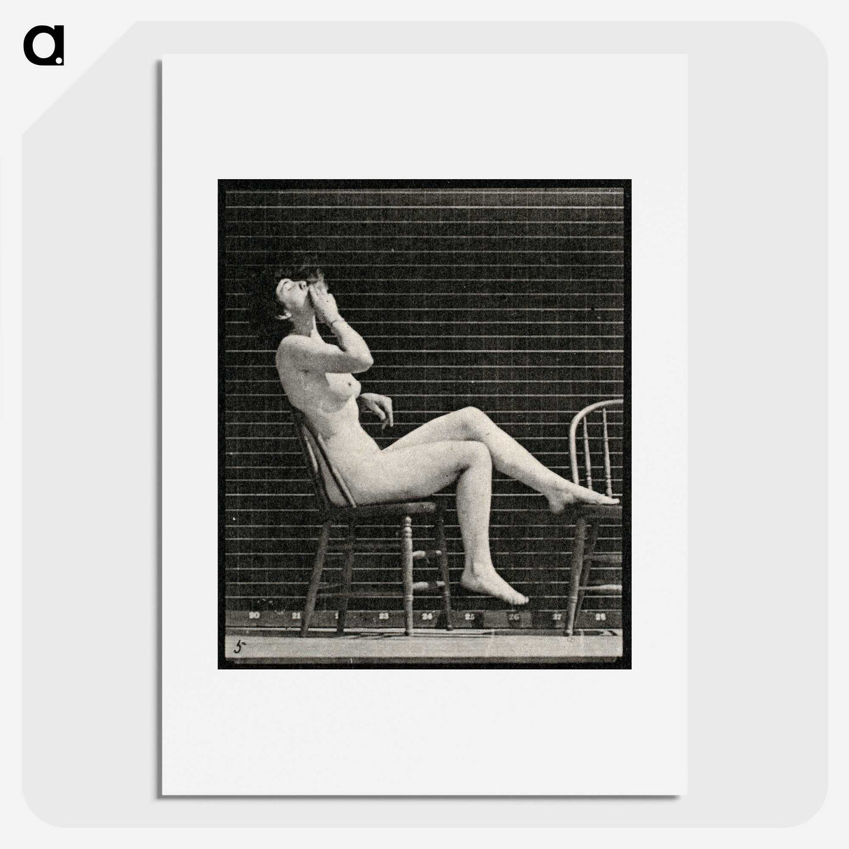 1-18_Eadweard-Muybridge_picture