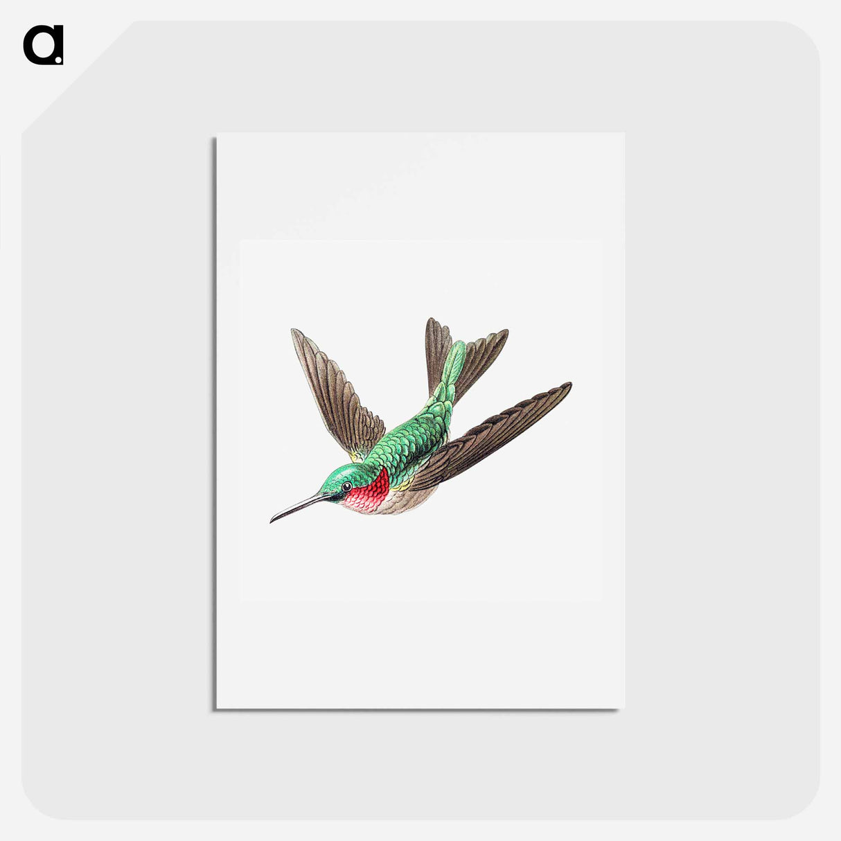 アートポストカード-Colorful vintage hummingbird illustration - エルンスト ヘッケル Postcard.