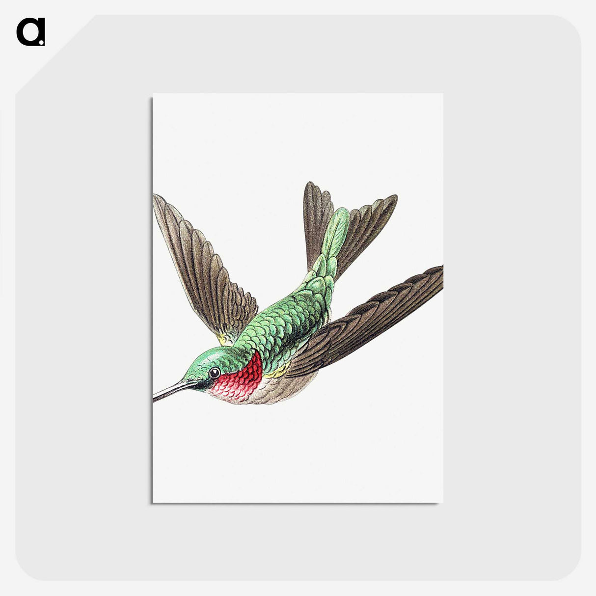 1-18_Ernst-Haeckel_postcard